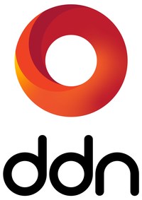 DDN Logo