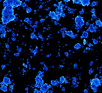 Simulation of ionized bubbles scattered across a dark sky during the epoch of reionization